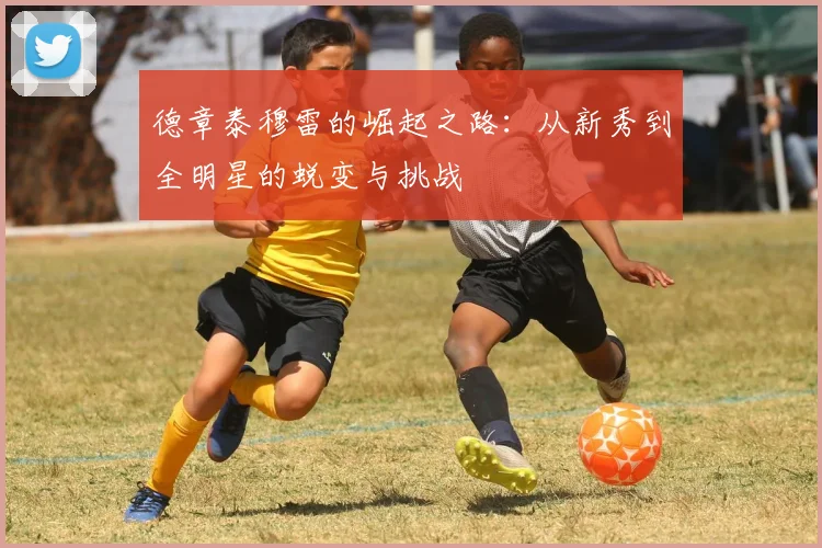 德章泰穆雷的崛起之路：从新秀到全明星的蜕变与挑战