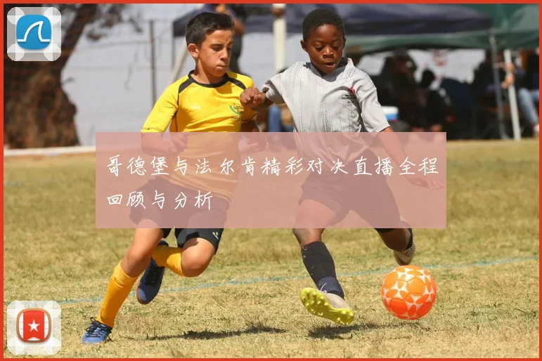 哥德堡与法尔肯精彩对决直播全程回顾与分析