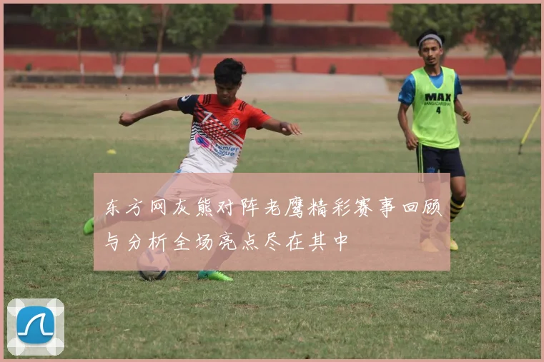 东方网灰熊对阵老鹰精彩赛事回顾与分析全场亮点尽在其中