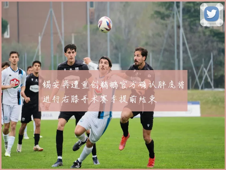 锡安再遭重创鹈鹕官方确认胖虎将进行右膝手术赛季提前结束