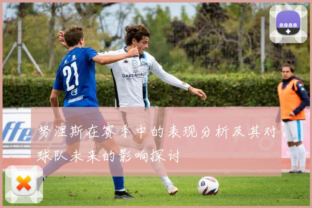 努涅斯在赛季中的表现分析及其对球队未来的影响探讨