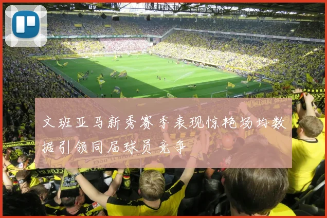 文班亚马新秀赛季表现惊艳场均数据引领同届球员竞争