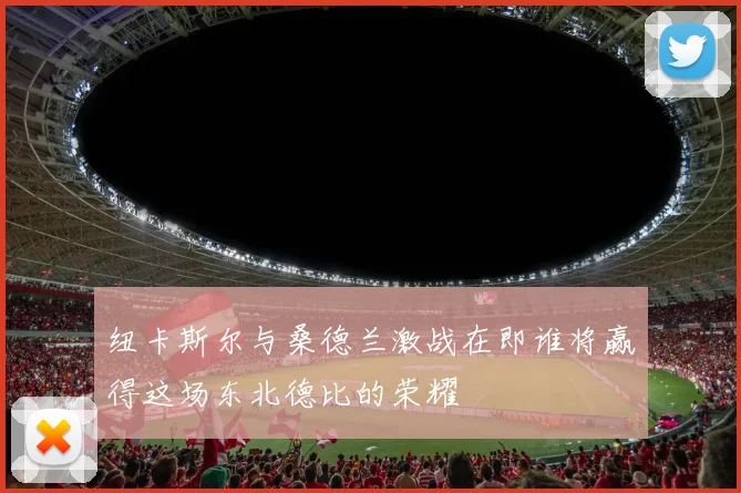 纽卡斯尔与桑德兰激战在即谁将赢得这场东北德比的荣耀