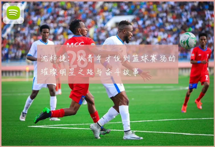 沈梓捷：从青年才俊到篮球赛场的璀璨明星之路与奋斗故事