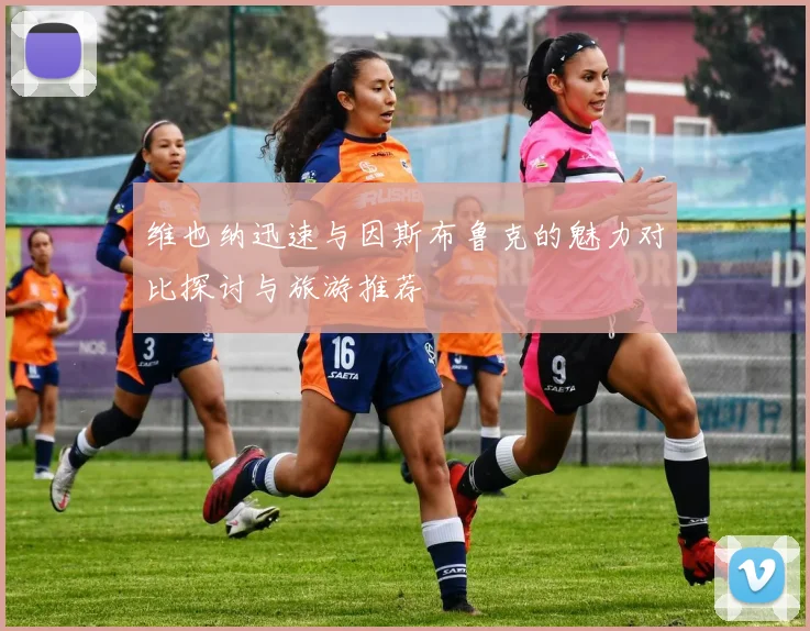 维也纳迅速与因斯布鲁克的魅力对比探讨与旅游推荐