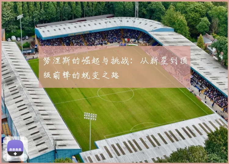 努涅斯的崛起与挑战：从新星到顶级前锋的蜕变之路
